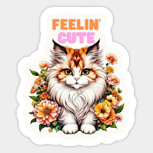 Feelin Cute Kitty Sticker